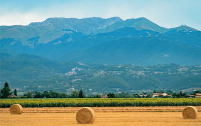 Da domenica 14 a domenica 21 giugno una settimana per celebrare la Reatinità